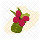 Rubyberry miracle fruit  Icon