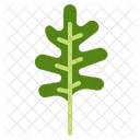 Rucola  Symbol