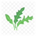 Rucola Icon