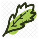 Rucola-Blatt  Symbol