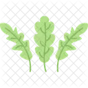 Rúcula  Icono