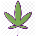 Ruderalis Cannabis Manjuana Icon