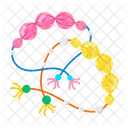 Raksha Bandhan Rakhi Bracelets Brother Rakhi Icon