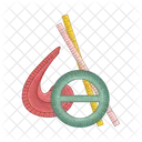 Ruler Tool Scale Icon