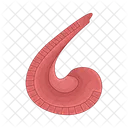 Ruler Tool Scale Icon