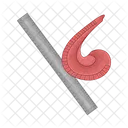 Ruler Tool Scale Icon