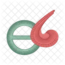 Ruler Tool Scale Icon