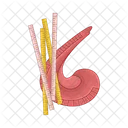 Ruler Tool Scale Icon