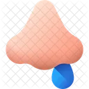Runny Nose Flu Nose Icon