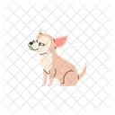 Ruse Chihuahua Chien Icône