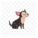 Ruse Chihuahua Chien Icône