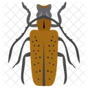 Russelkafer Insekt Skarabaus Symbol