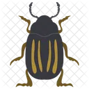 Russelkafer Insekt Skarabaus Symbol