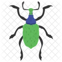 Russelkafer Insekt Skarabaus Symbol