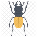 Russelkafer Insekt Skarabaus Symbol
