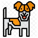 Russell Terrier Dog Icon