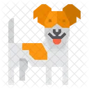 Russel Terrier Animal Pet Icon