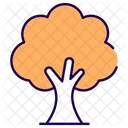 Russian Tree Tree Nature Icon