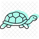 Russische Schildkrote Symbol
