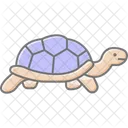 Russische Landschildkrote Russische Landschildkrote Reptil Symbol