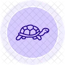 Russische Landschildkrote Russische Landschildkrote Reptil Symbol