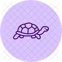 Russische Landschildkrote Russische Landschildkrote Reptil Symbol