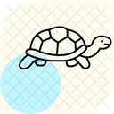 Russische Landschildkrote Russische Landschildkrote Reptil Symbol
