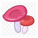 Russula Mushroom Food Icon
