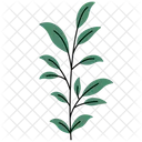 Rustic Plant  Icon