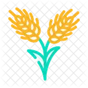 Rye Plant  Icon