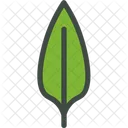 Sabah Snake Grass  Icon