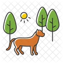 Sabana  Icono