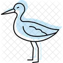 Sabelschnabler Vogel Waten Symbol