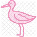Sabelschnabler Vogel Waten Symbol
