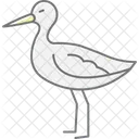 Sabelschnabler Vogel Waten Symbol