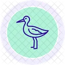Sabelschnabler Vogel Waten Symbol