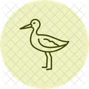 Sabelschnabler Vogel Waten Symbol