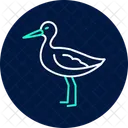Sabelschnabler Vogel Waten Symbol