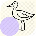 Sabelschnabler Vogel Waten Symbol