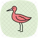Sabelschnabler Vogel Waten Symbol