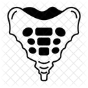 Sacrum Icon