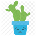 Sad Cactus Jade Plant Cactus Icon