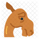 Sad Camel  Icon