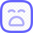 Asset Icon