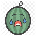 Sad Watermelon  Icon