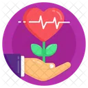 Heart Plant Safe Heart Growth Love Growth Icon