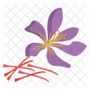 Saffron  Icon