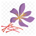 Saffron Herbal Spices Icon