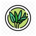 Sage Cosmetic Plant Icon
