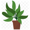 Sage Potted Plant  Icon